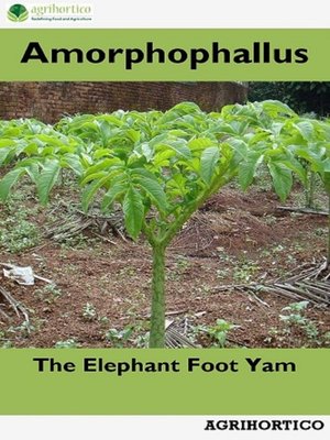 cover image of Amorphophallus
